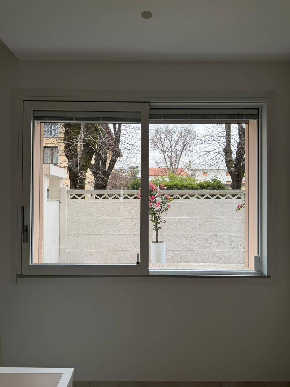 WhatsApp Image 2026-02-26 at 16.53.53 (9)