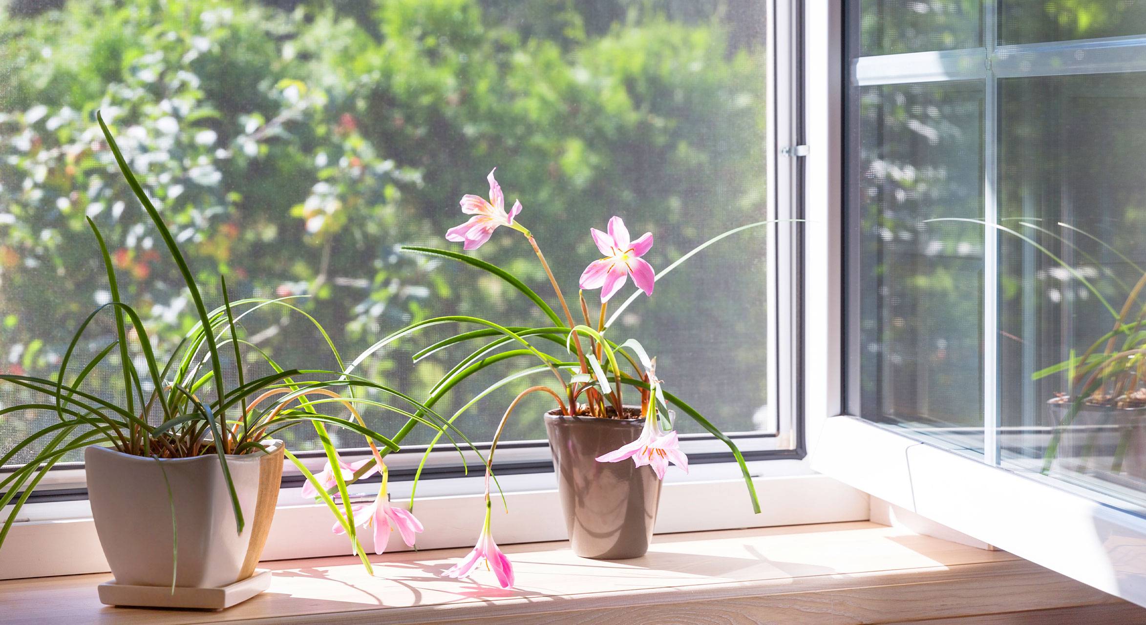 Corbetta-serramenti-infissi-finestre-zanzariere-como-varese-slider